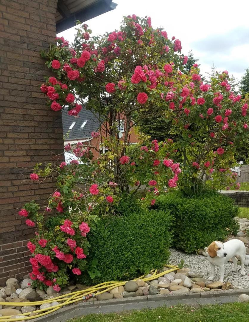 Ferienwohnung Aurich Ostfriesland Экстерьер фото